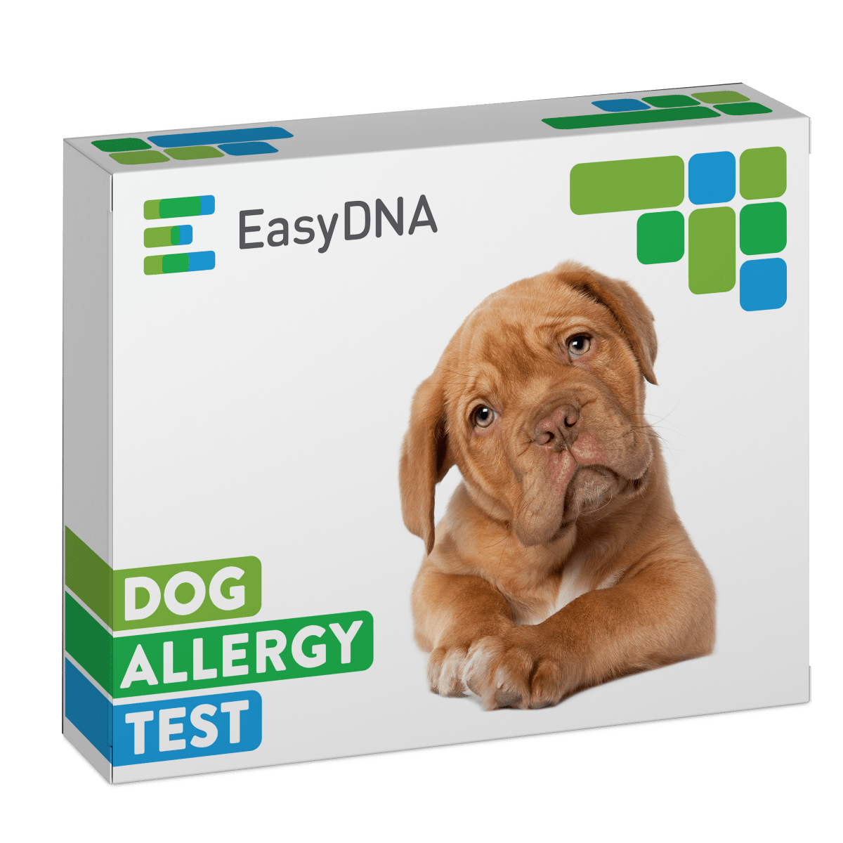 Dog Allergy Test